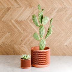 Weave Planter