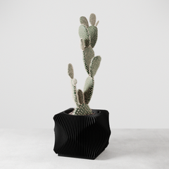 Xenova Planter